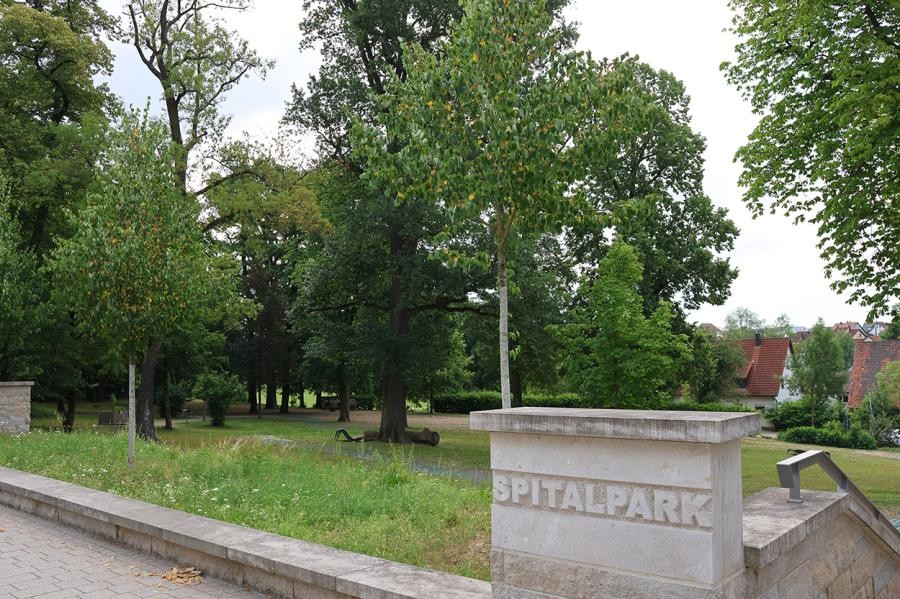 ein Park mit hohen Bäumen im Vortdergrund ein Steinblock auf dem Spitalpark steht