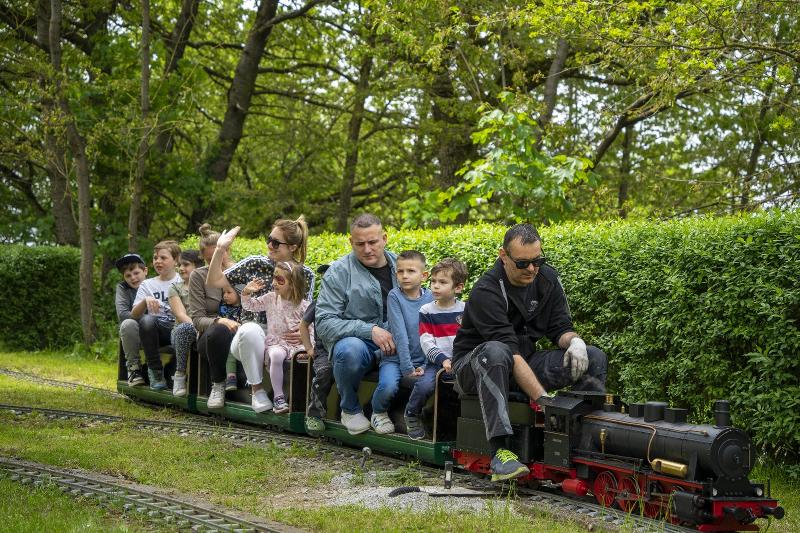 Bild der Dampfbahn mit Kindern und Erwachsenen darauf