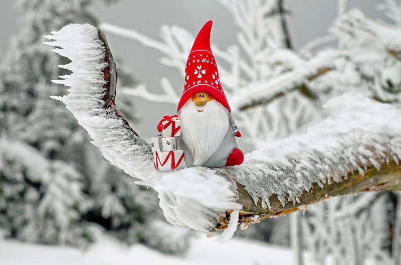 Ein Weihnachtszwerg steht auf einem Ast mit Geschenken in der Hand