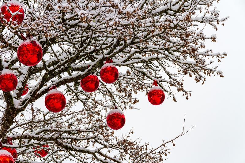 Der Baum ist mit Schnee bedeckt und hat Rote Kugeln daran hängen