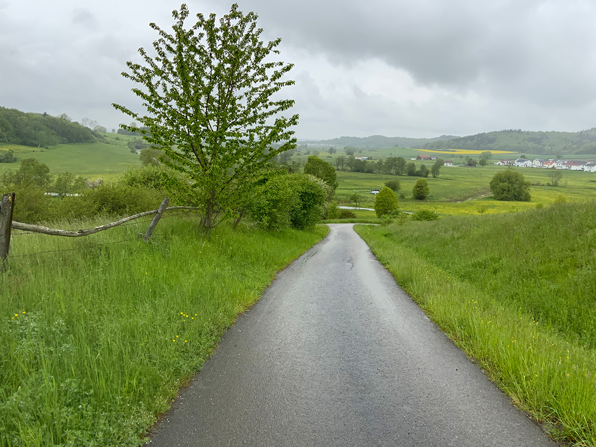 ein geteerter Weg durch eine grüne Landschaft