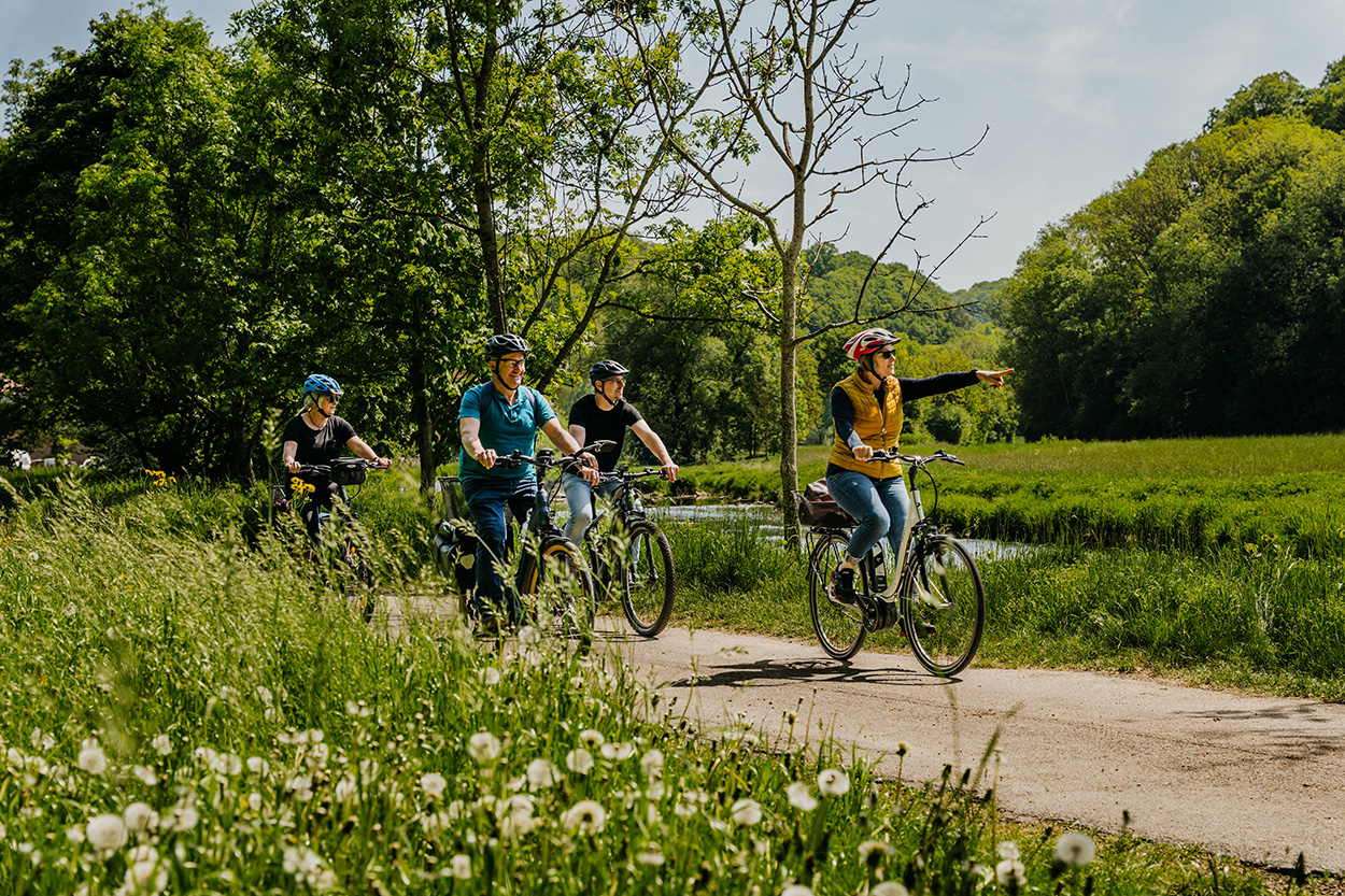 Einige Radfahrer in grüner Natur