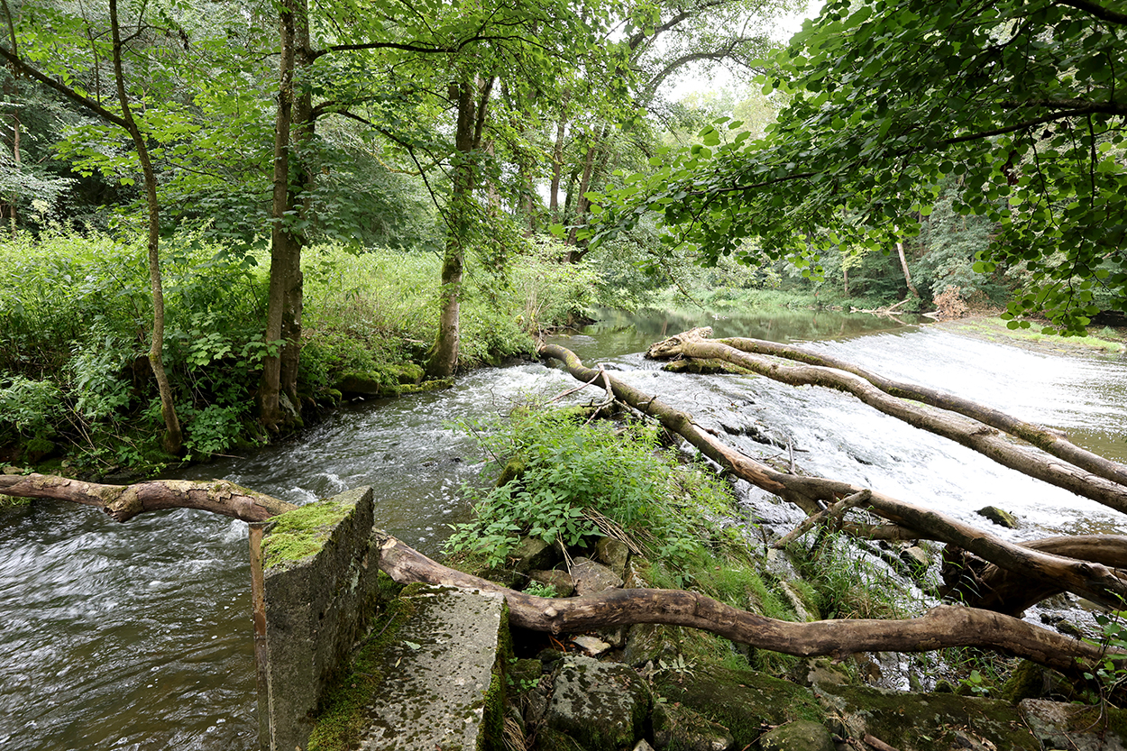 Ein Fluss mitten im Wald